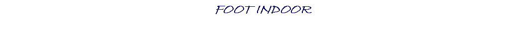 Zone de Texte: FOOT INDOOR